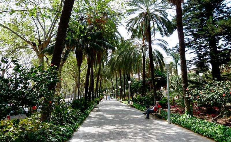 Paseo Parque Paseo Parque