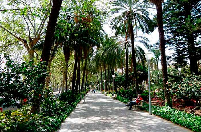 Paseo Parqu Foto Tour Paseo Parqu Foto Tour